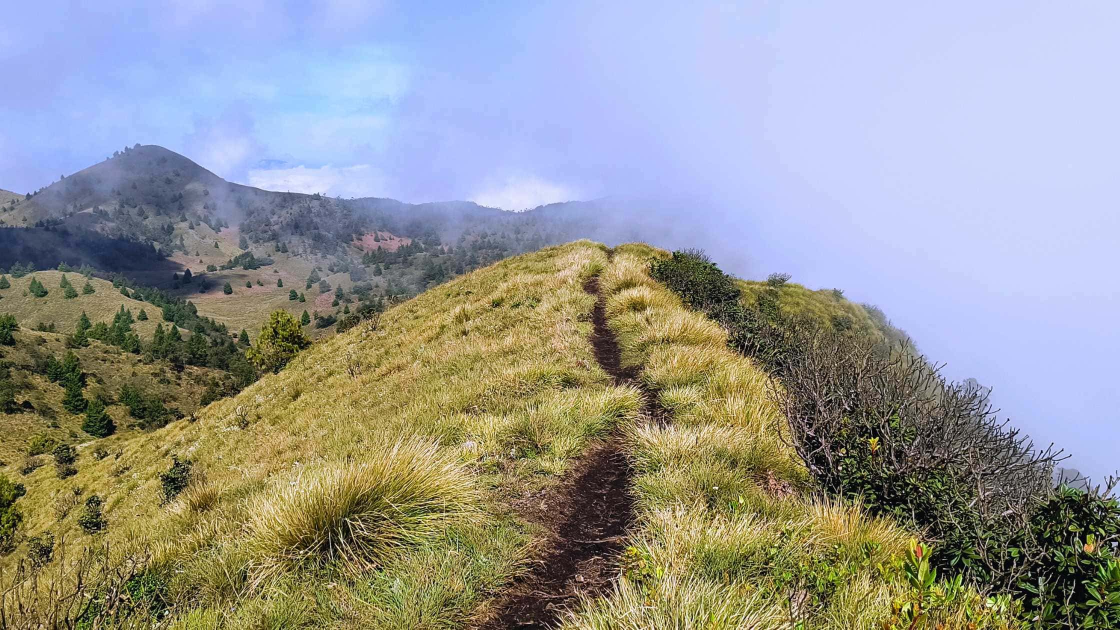 Meesapulimala Trek